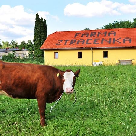 Farma Ztracenka Hotel Porici nad Sazavou Екстериор снимка