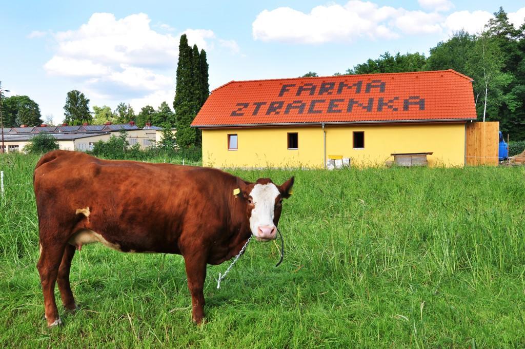 Farma Ztracenka Hotel Porici nad Sazavou Екстериор снимка