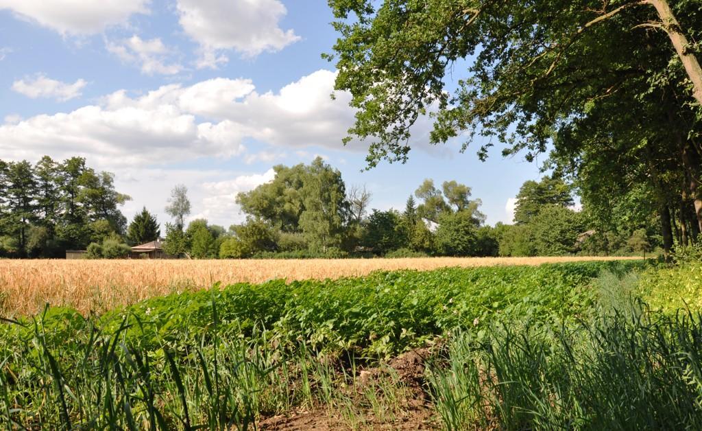 Farma Ztracenka Hotel Porici nad Sazavou Екстериор снимка