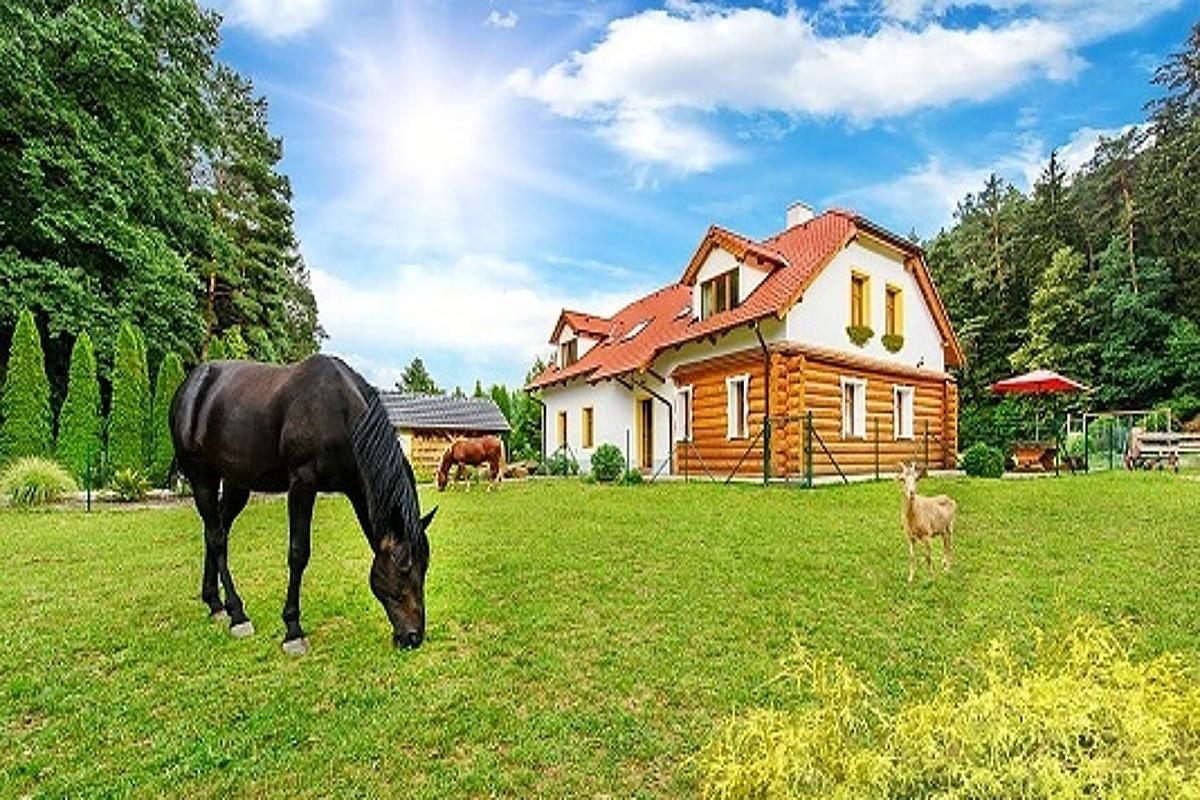 Farma Ztracenka Hotel Porici nad Sazavou Екстериор снимка